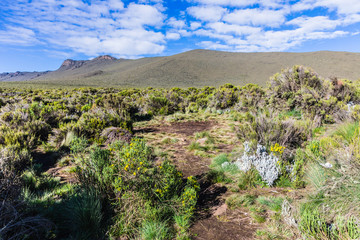 View from the Lemosho trail, the most scenic trail on mount Kilimanjaro, Tanzania