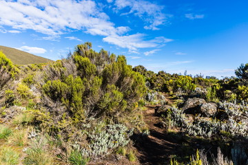 View from the Lemosho trail, the most scenic trail on mount Kilimanjaro, Tanzania