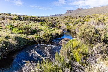 View from the Lemosho trail, the most scenic trail on mount Kilimanjaro, Tanzania