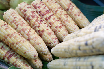 Vegan food ,Steamed sweet corn in market