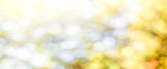 Green leaf background Blurred leaves, circular bokeh, abstract from beautiful leaves, green nature concepts and for design images and computer screens.