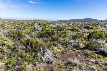 View from the Lemosho trail, the most scenic trail on mount Kilimanjaro, Tanzania