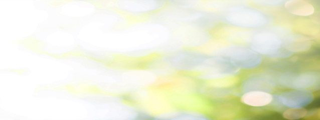 Fototapeta premium Green leaf background Blurred leaves, circular bokeh, abstract from beautiful leaves, green nature concepts and for design images and computer screens.