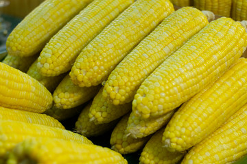 Vegan food ,Steamed sweet corn in market