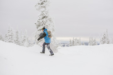 Fototapeta na wymiar Snowboarder free rider man walking on snowy slop, snow covered trees on background, bad weather, siberian winter snow powder day in ski resort