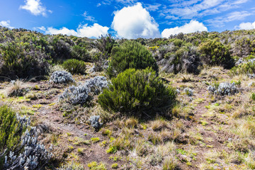 View from the Lemosho trail, the most scenic trail on mount Kilimanjaro, Tanzania