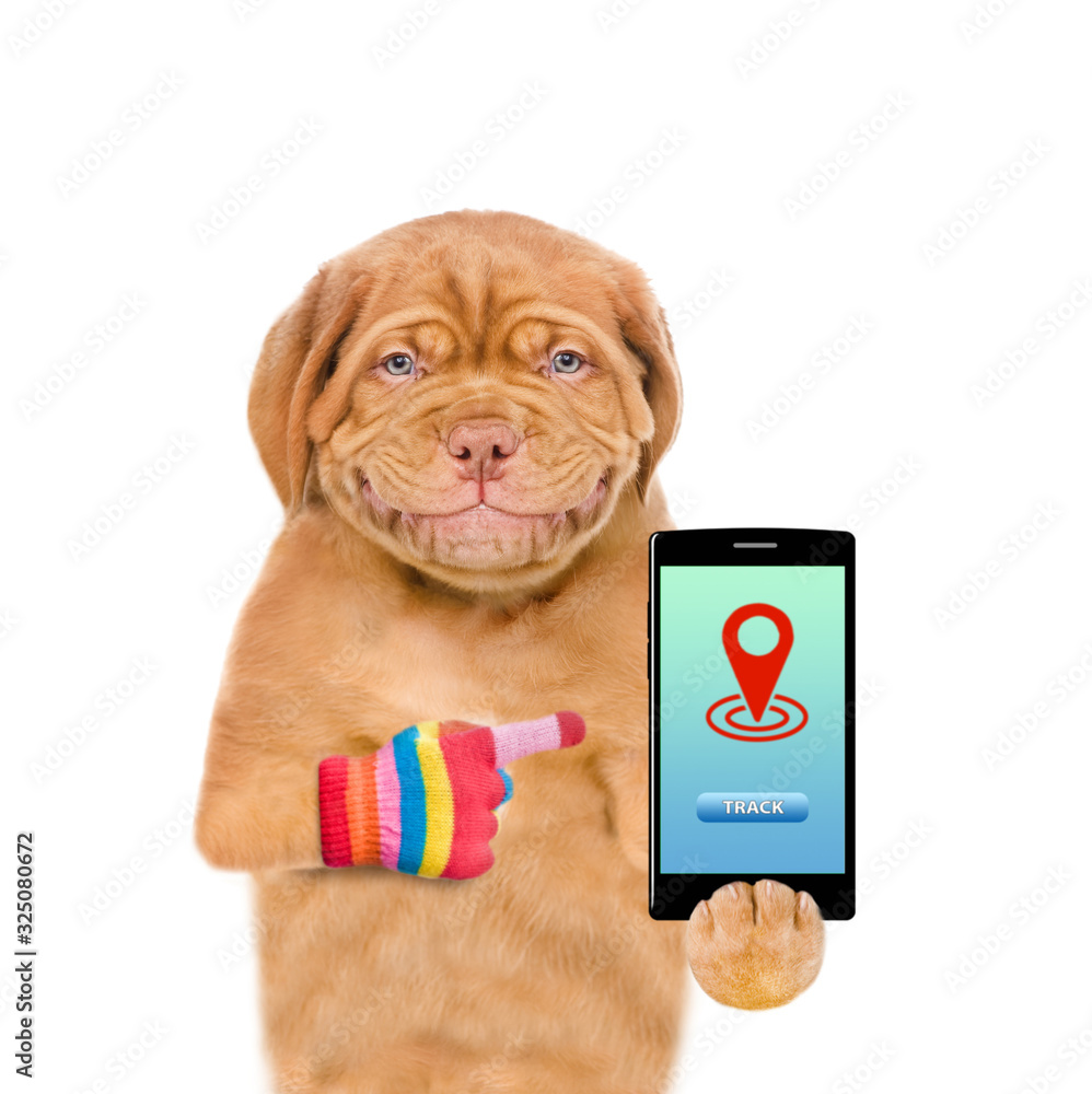 Poster Smiling puppy points on smartphone with tracking symbol. Tracking concept. Isolated on white background