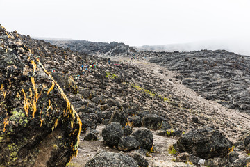 View from the Lemosho trail, the most scenic trail on mount Kilimanjaro, Tanzania