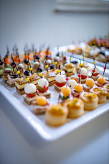 Catering Caterer Buffet Snack Appetizer Canapes  Fingerfood auf weißer Platte