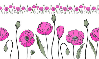 Seamless border made of poppies. Pencil drawing, Design for packaging, fabric, textile, paper, frame.