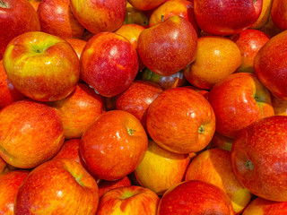 Full frame photo of red apples for backgrounds concept