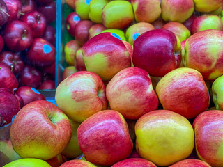 Closeup photo of gala apples for sale at groceries store