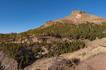 Mountain road in Teide national park with Sombrero De Chasna mount at background, Tenerife, Canary Islands, Spain
