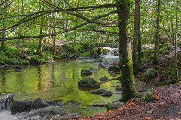 around Vologne river