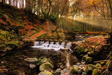 Cascade on river and footpath with sunbeams shining through branches, golden coloured autumn trees, Tollymore Forest Park. Newcastle, Northern Ireland
