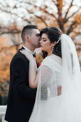 The bride has a white dress with vail. Beautiful autumn walk in the magic nature a lady in a...