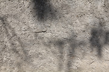 tree leaf shadows on the concrete wall for background
