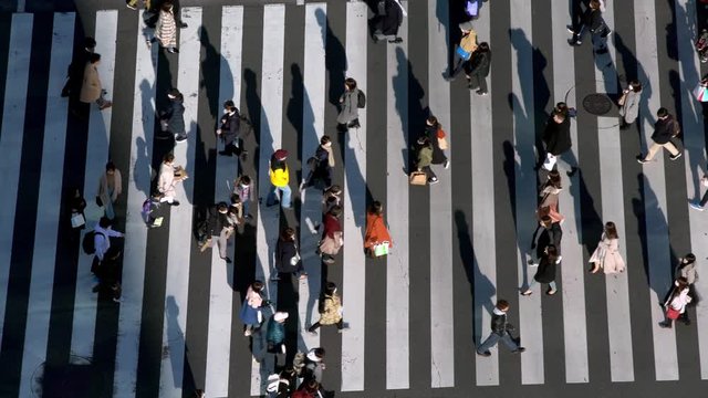 4K, Aerial View Over A Traffic Cars And A Crowd Of Pedestrian Crossing Street With A Sunset Light. Elevated View Over An Asian People Walking In Busiest Road Intersection. -Dan