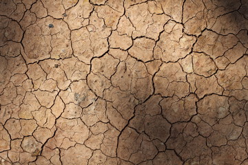 craked earth closeup for natural abstract background