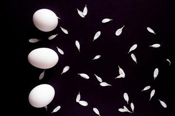 Happy Easter concept. White easter eggs with flower petals lay on the dark background. Easter decorative flat lay. View from above to easter eggs and petals