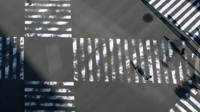 4K, Elevated view over a crowd pedestrian crossing in road intersection with light of a sunset. Aerial view of asian people in busy scramble crosswalk.-Dan