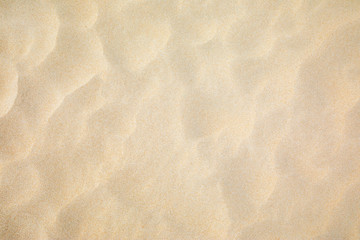 Naklejka na ściany i meble Sand on the beach background
