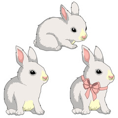 Bunny white animal with pink bow colorful isolated vector illustrations