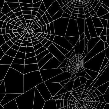 Halloween seamless pattern of spiderweb with black background vector colorful illustrations