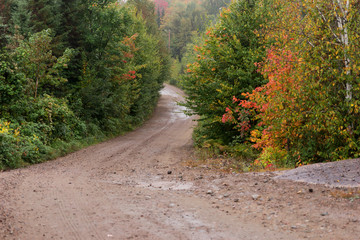 Empty rural road through autumn woodland