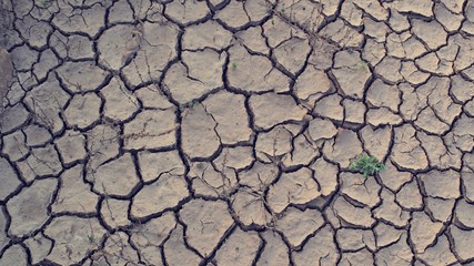 soil cracked background, land in dry season, Abstract natural background with cracked earth texture