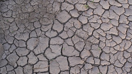 soil cracked background, land in dry season, Abstract natural background with cracked earth texture