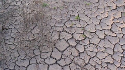 soil cracked background, land in dry season, Abstract natural background with cracked earth texture