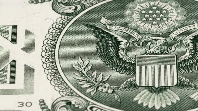 Great seal on US one dollar bill tracking, bald eagle. Slider shot. Low angle, macro. 4K