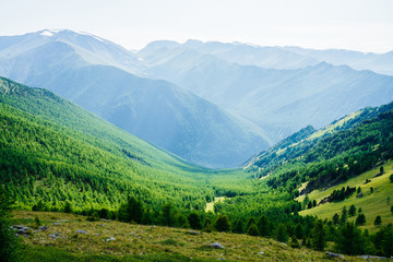Beautiful scenic view to green forest valley and great snowy mountains far in sunny day. Awesome alpine landscape of vast expanses in sunlight. Wonderful vivid scenery with green forest mountains.