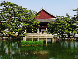 Obraz premium Beautiful South Korea landscape. Tourism, travel.