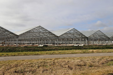 Greenhouse with broken windows for demolition where new houses will come in the Eendragtspolder in...