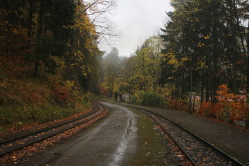 autumn railway