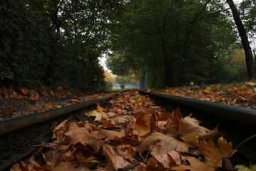 Autumn railway