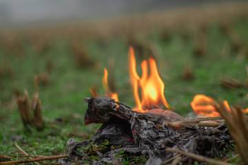 Newspaper is burning with fire in a field over green blurry background