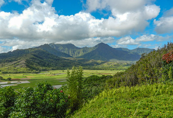 Fototapeta na wymiar Kauaʻi Valley View
