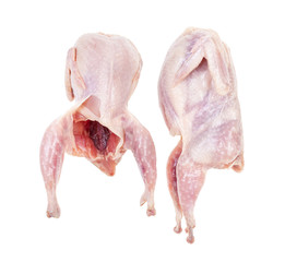 pair of raw plucked and gutted quails isolated