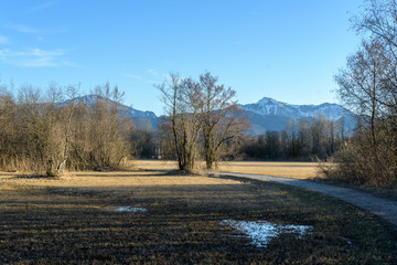 Obraz na płótnie Canvas Blick über Wiesen und Auwald auf die Berge im Frühjahr bei Sonne und blauem Himmel