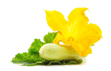 Courgette with leaves and flower.