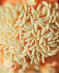 Red pepper seeds naturally chaotic arranged