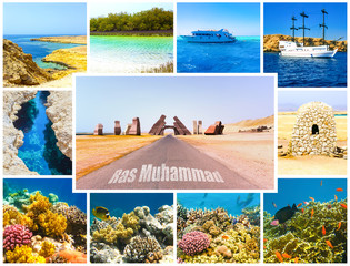 The collage about coral reef in Ras Muhammad National Park