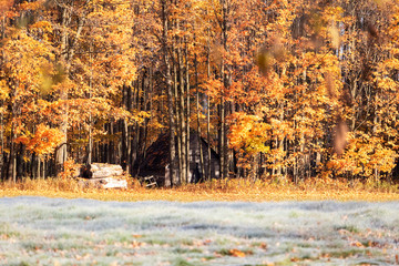 Fototapeta na wymiar chalet d'automne, Cantons de l'est, Estrie, Québec Canada