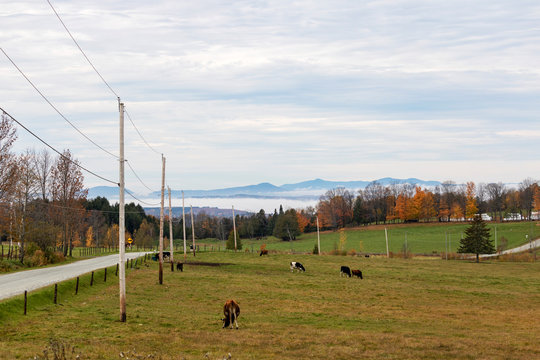 Campagne des cantons de l'est, Estrie, Agriculture en automne, Qu&eacute;bec Canada