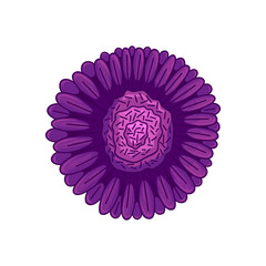 Vector floral botanical flower Illustration Purple Ornament