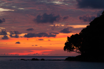 Vivid sunset sky waterscape and silhouette forest island