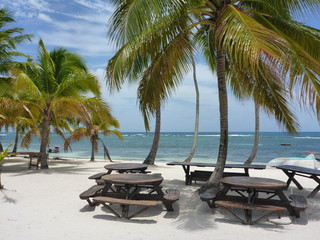 Fototapeta na wymiar Beach impression under palm trees on a Caribbean coast